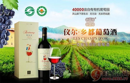 紅酒加盟的怎么選酒,紅酒加盟品牌怎么選