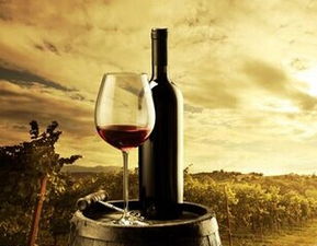 格拉夫干紅 創業優勢多